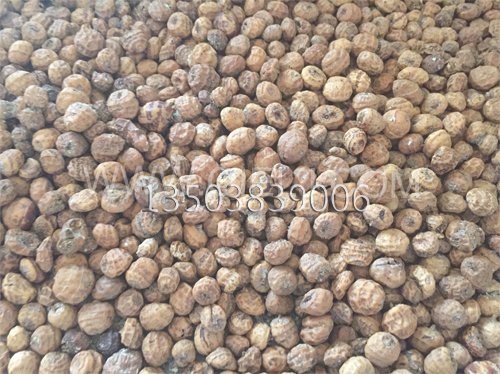 油莎豆榨油設備 冷榨莎豆油成套設備(圖2) 油莎豆榨油設備 冷榨莎豆油成套設備(圖2)