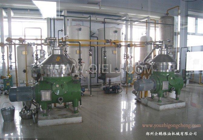 大果紅花油茶設備，茶油精煉成套設備(圖1)