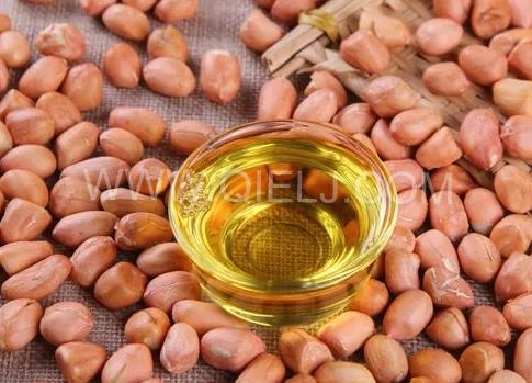 投資建花生油加工廠，選擇企鵝糧油機械設備事半功倍(圖1)